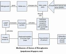 Image result for Nitroglycerin MOA