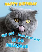 Image result for Happy Birthday From a Cat