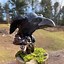 Image result for Raven Figurine