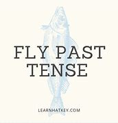 Image result for Fly Past Tense