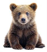 Image result for Telly Baby Bear