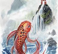 Image result for 13 Koi Carp Image