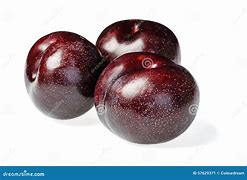 Image result for Black Plum Fruit