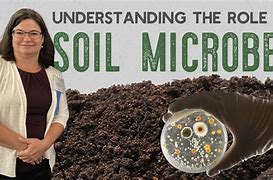 Image result for Soil Microbes