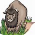 Image result for Buffalo Head Art