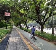 Image result for Footpath Near Road