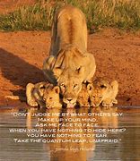 Image result for Lion Protecting Queensaying