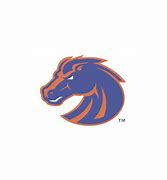 Image result for Boise Hawks Logo