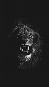 Image result for Angry Lion in the Dark Wallpaper