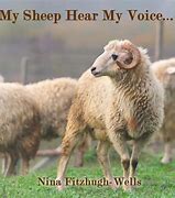 Image result for Sheep Hear My Voice