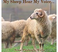 Image result for Sheep Hear My Voice Jesus