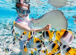 Image result for Snorkeling Pool