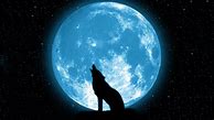 Image result for Wolf Moon deviantART