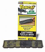 Image result for Tomcat Glue Boards