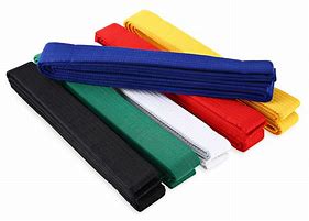 Image result for Belts in Taekwondo