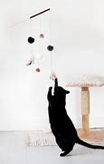 Image result for DIY Cat Toys Simple