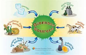 Image result for How Does Biomass Energy Work