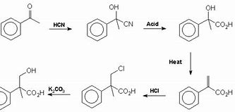 Image result for atropine synthesis