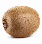 Image result for Kiwi Willy