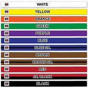 Image result for Belts in Taekwondo