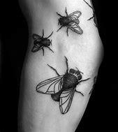 Image result for Fly Tattoo