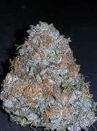 Image result for Tahoe OG Kush