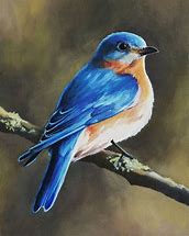 Image result for Hawk Bird Blue Art