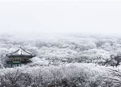 Image result for Korean Winter Destinations