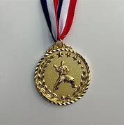 Image result for Taekwondo Gold Medal