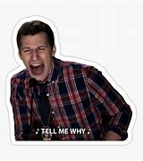 Image result for Tell Me Why Logo