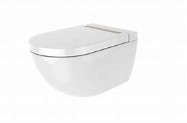 Image result for Wall Mount Toilet