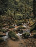 Image result for Curug Ratu Bogor