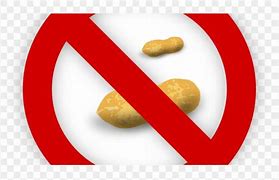 Image result for No Nuts Allowed Image Clip Art