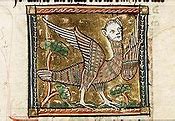 Image result for Harpy Medieval