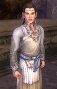 Image result for Elrond Outfit LOTRO