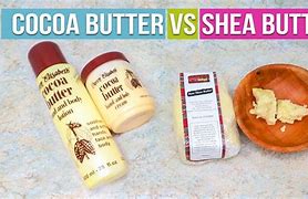 Image result for Cocoa Butter vs Shea Butter