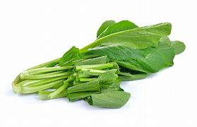 Image result for Choy Sum