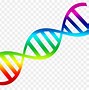 Image result for Double Helix Boarder