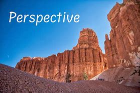 Image result for Eagle Perspective