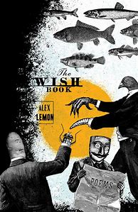 Image result for Like a Wish Book