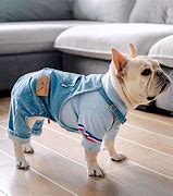 Image result for Clothes for Dogs Product