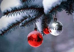 Image result for Christmas Season Pictures