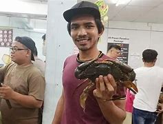 Image result for Ketam Bangkang