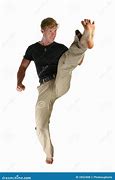 Image result for Front Snap Kick