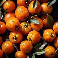 Image result for Where to Purchase Kumquat Fruit