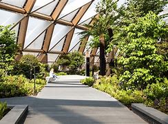 Image result for Crossrail Place Roof Garden