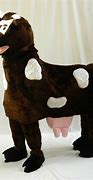 Image result for Panto Cow