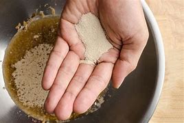 Image result for Yeast Alcohol