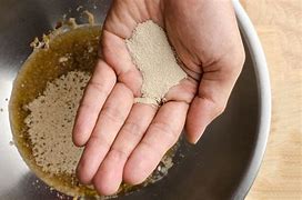 Image result for Yeast Alcohol