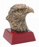 Image result for Girl Scout Eagle Awards